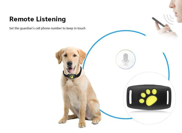 Dispositivo localizzatore per animali domestici PawGuard con microchip e GPS per gatti | Lersk