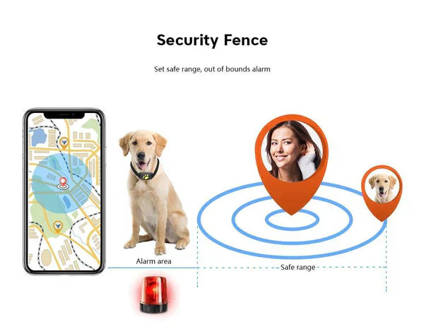 Dispositivo localizzatore per animali domestici PawGuard con microchip e GPS per gatti | Lersk