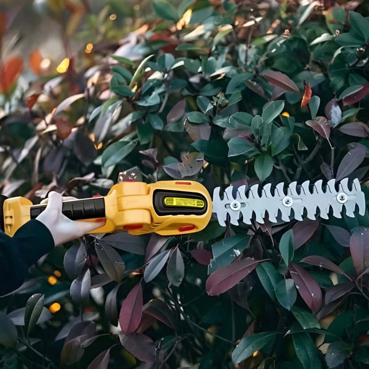 SylvaTrim Lightweight Cordless Hedge & Shrub Trimmer 2-in-1 | Lersk