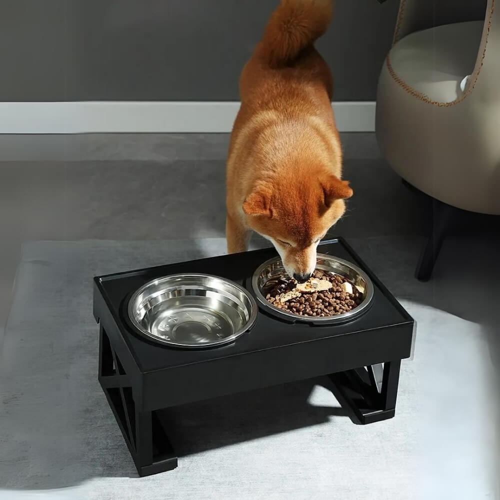 PupLift Der erhöhte Hundenapf und erhöhte Futterschale für Haustiere und Hunde | Lersk