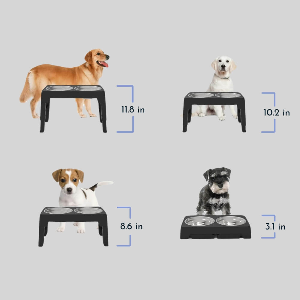 PupLift Der erhöhte Hundenapf und erhöhte Futterschale für Haustiere und Hunde | Lersk