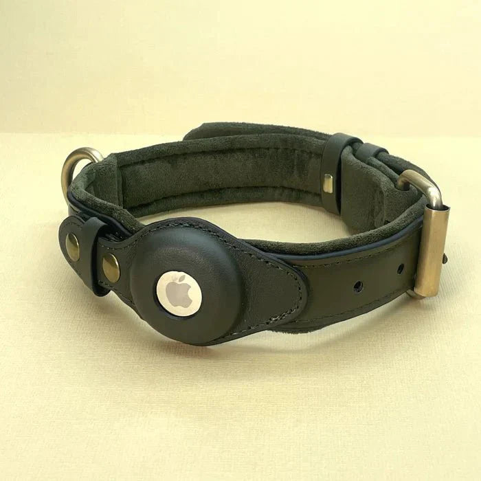 SafeTrack Premium AirTag Dog Collar For Pets With Find My App And Android Tracker Detector | Lersk