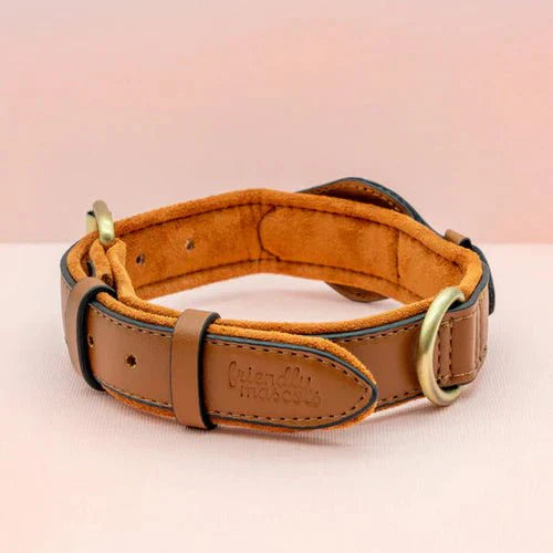SafeTrack Premium AirTag Dog Collar For Pets With Find My App And Android Tracker Detector | Lersk