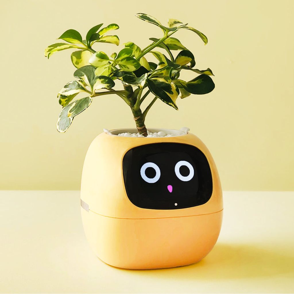 Vaso Intelligente LeafNova con 70 Animazioni e Connessione Alexa | Lersk