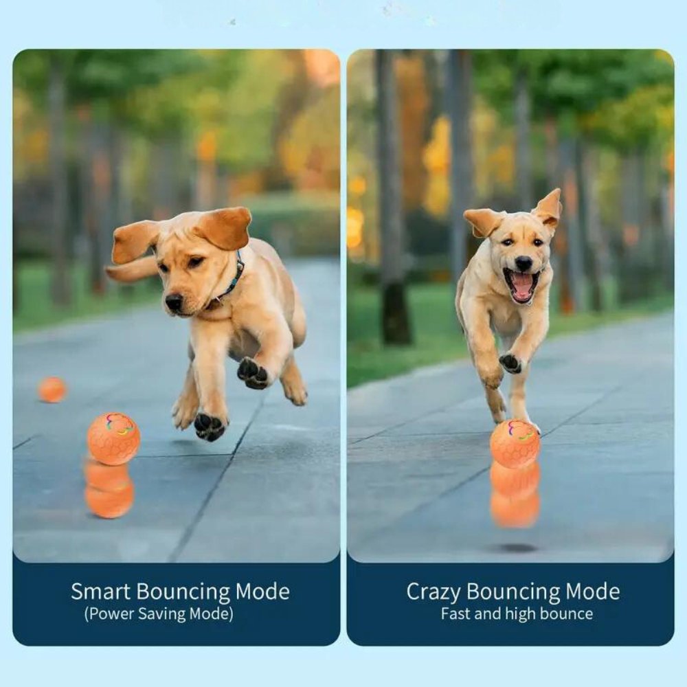 SmartBounce Dog Ball Toy With Intelligent Bouncing Action Waterproof Durable Safe And Bite Resistant | Lersk