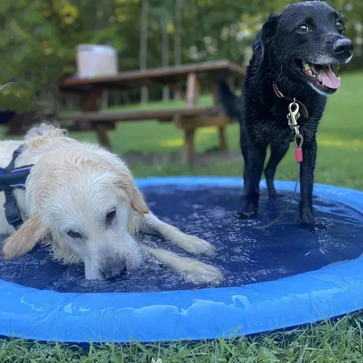 SplashyPaws Splash Pad For Dogs And Pets, Outdoor Water Play Mat For Pups Of All Sizes | Lersk