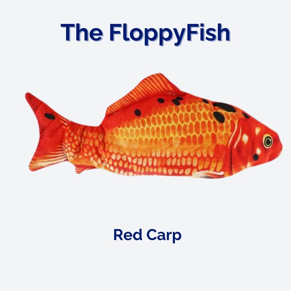 The FloppyFish Interactive Dog Toy For Dogs And Puppies At Home And On The Move Now | Lersk
