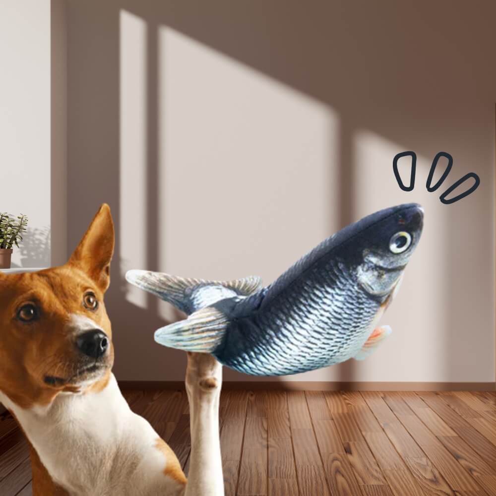 The FloppyFish Interactive Dog Toy For Dogs And Puppies At Home And On The Move Now | Lersk
