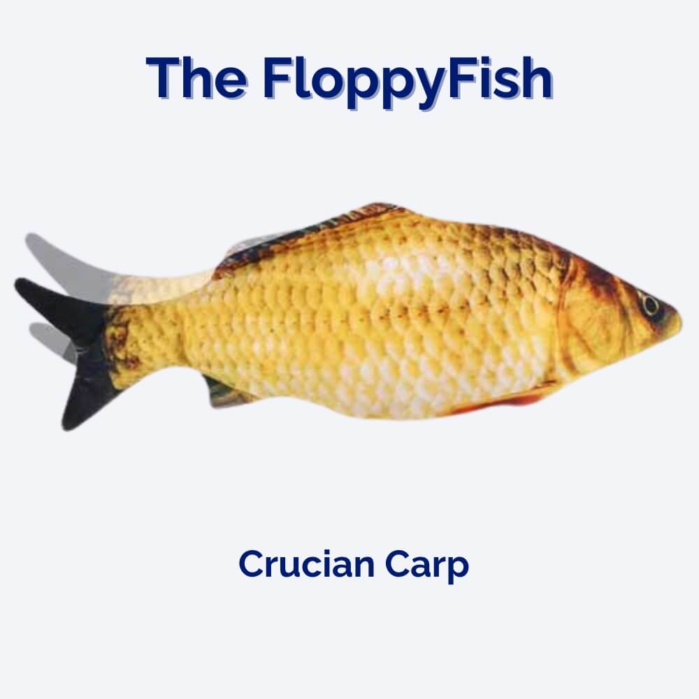 The FloppyFish Interactive Dog Toy For Dogs And Puppies At Home And On The Move Now | Lersk